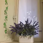 Daire A Casa Di Marzia *
